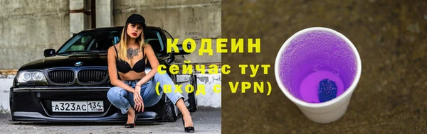 стаф Майский
