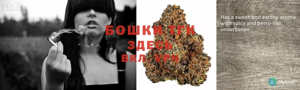 гидра Алексеевка