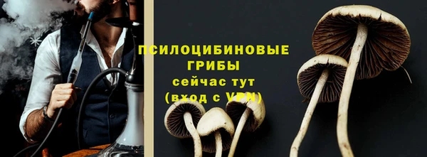 соль курить ск Алзамай